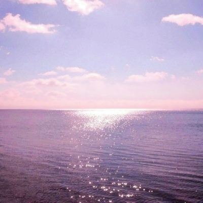 yabo手机版官网登录截图